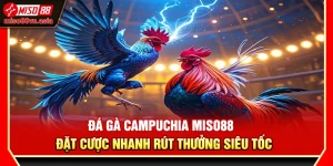 Đá Gà Campuchia Miso88 – Đặt Cược Nhanh Rút Thưởng Siêu Tốc
