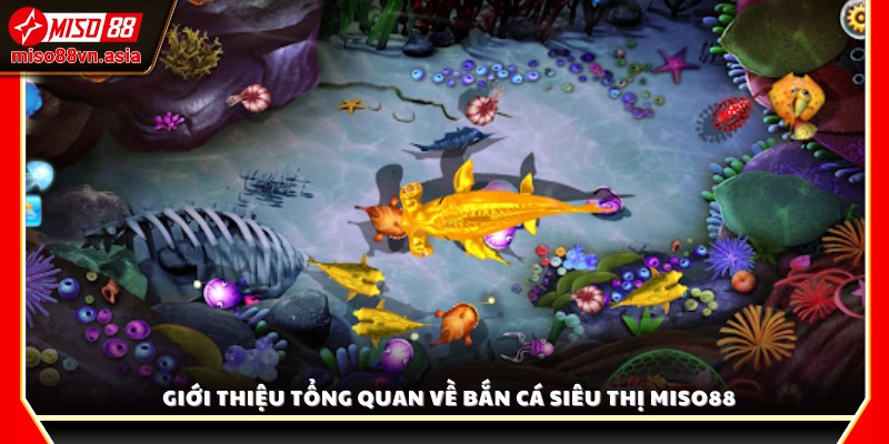 Tổng quan về trò chơi bắn cá siêu thị Miso88
