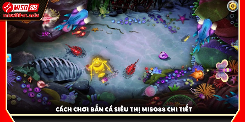 Hướng dẫn chi tiết cách chơi bắn cá siêu thị Miso 88