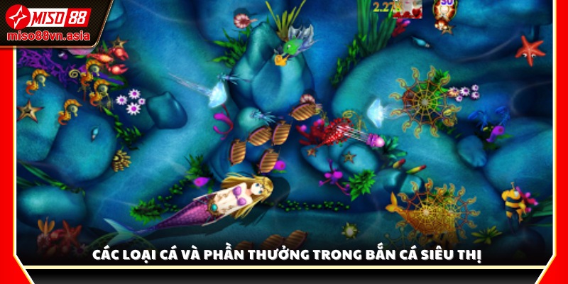 Các loài cá đặc biệt và phần quà hấp dẫn khi săn được