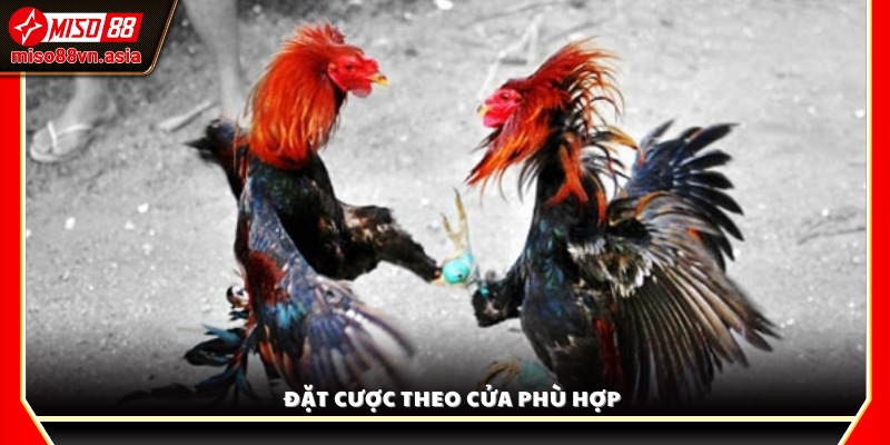  Chọn cửa cược yêu thích như Meron, Wala hoặc Hòa