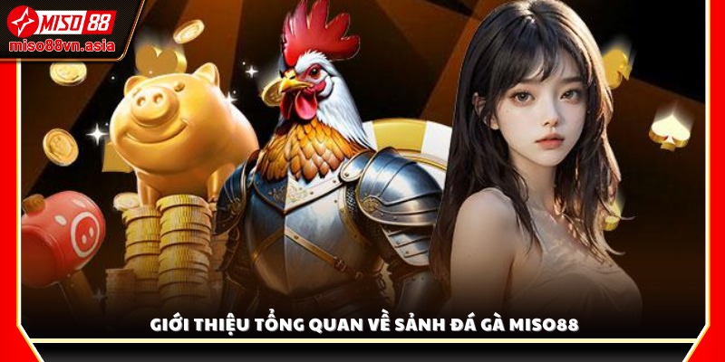 Tìm hiểu chung về sảnh Đá Gà Miso88