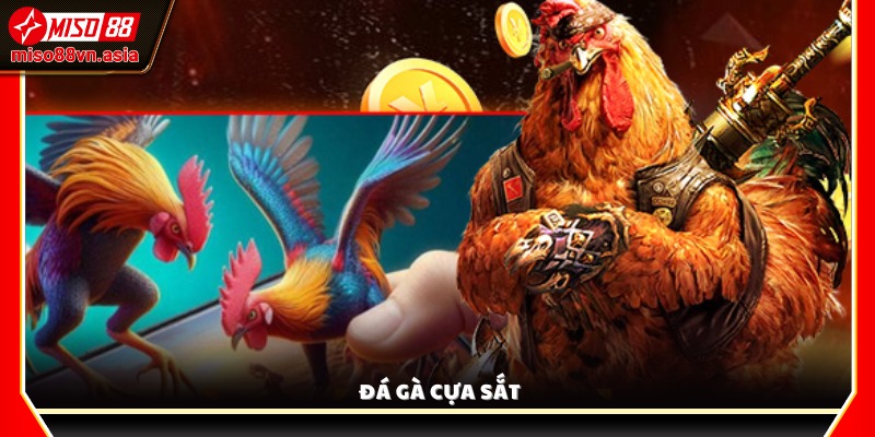 Đá Gà Cựa Sắt – Màn đối đầu đỉnh cao